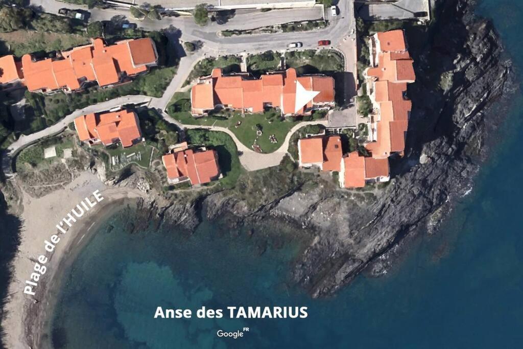 Collioure Appart En Bord De Mer Plage A 50M Clim Garage Location Du Samedi Au Samedi Kültér fotó