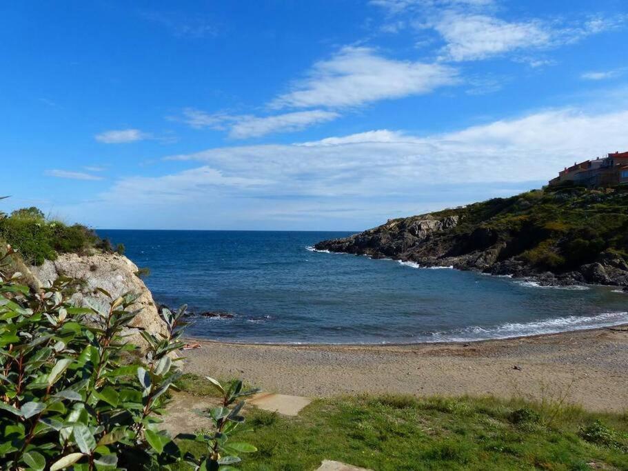 Collioure Appart En Bord De Mer Plage A 50M Clim Garage Location Du Samedi Au Samedi Kültér fotó